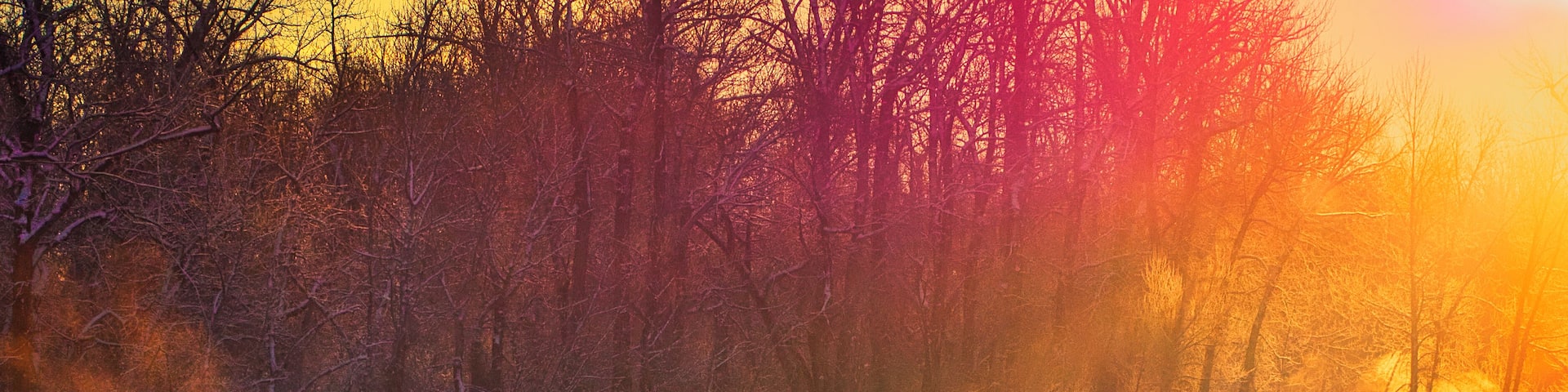 The Gallatin River feeds from Yellowstone National Park south of Bozeman, Montana and runs north to Headwaters State Park where it joins with the Madison and Jefferson to form the Missouri River. This shot was taken on a very cold, early November morning. Winter had landed but thermal vents in the river produce beautiful steam effects through the snow and ice.
