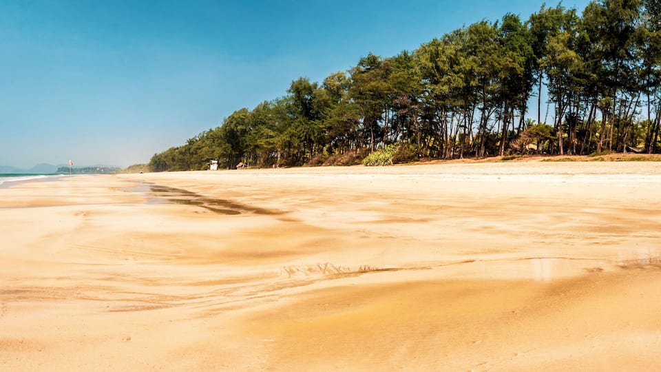 A sandy beach with gentle waves, a clear sky, and a line of trees in the background.