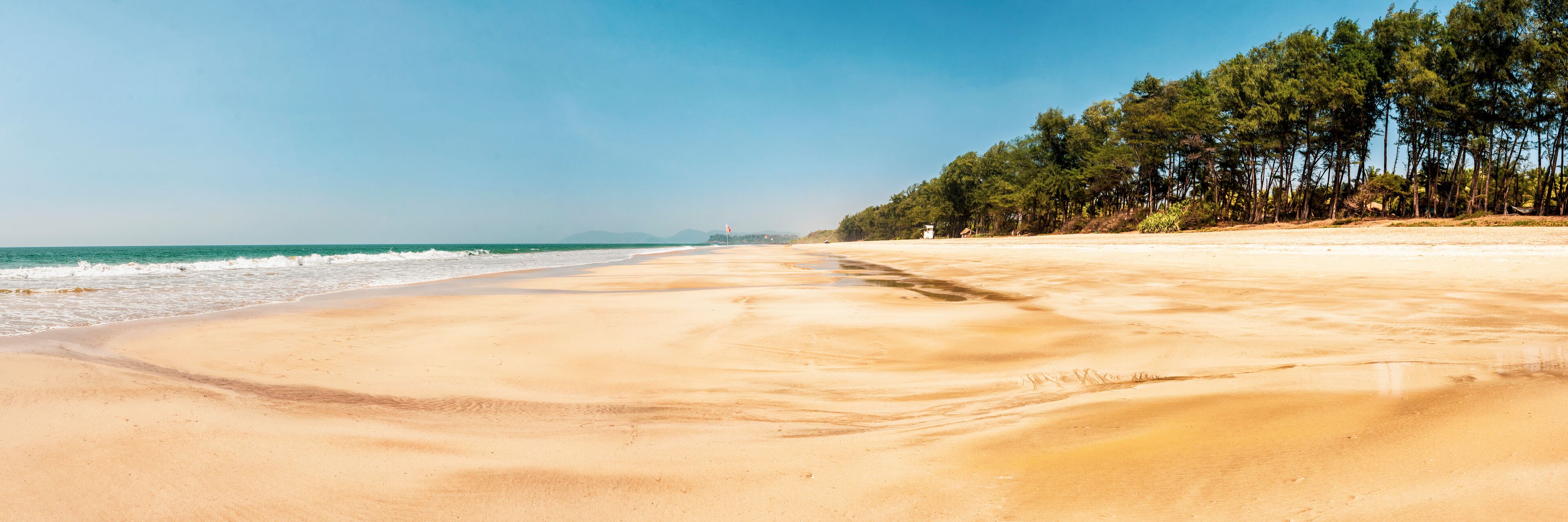 A sandy beach with gentle waves, a clear sky, and a line of trees in the background.
