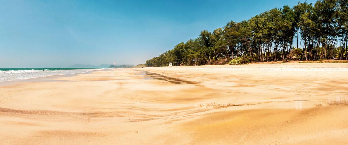 A sandy beach with gentle waves, a clear sky, and a line of trees in the background.