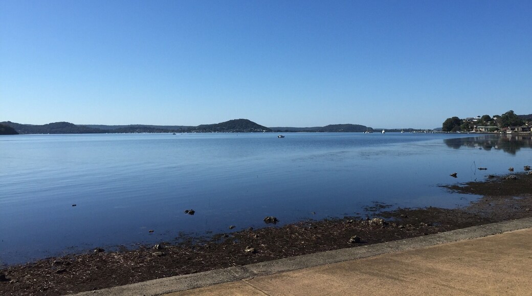 View of my walk from Point Clare NSW #aquatrove
