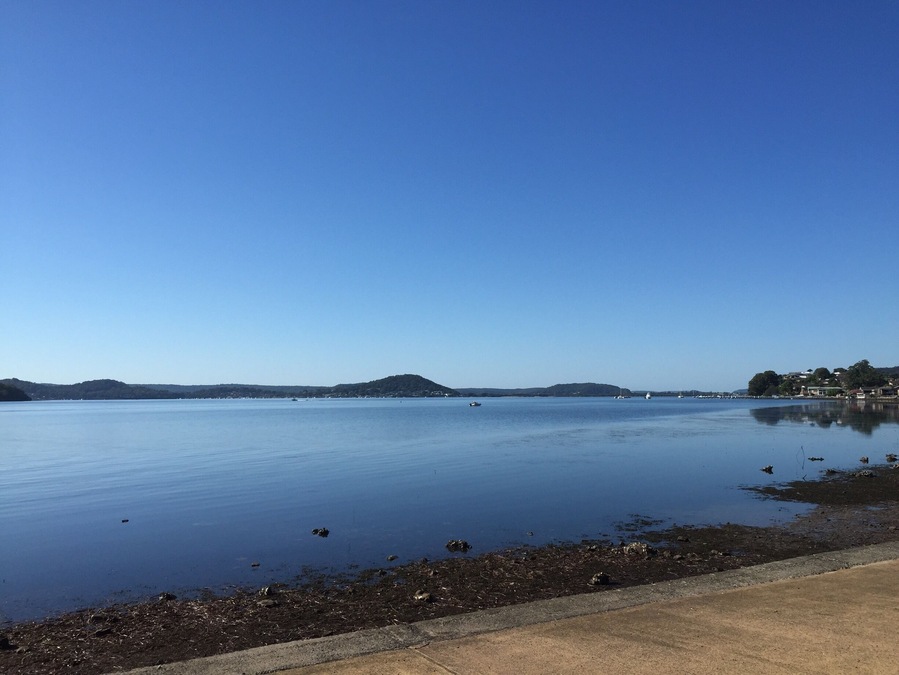 View of my walk from Point Clare NSW #aquatrove