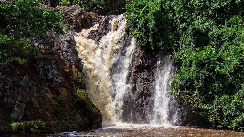 Ein Wasserfall stürzt über eine felsige Klippe, umgeben von üppigem Grün.