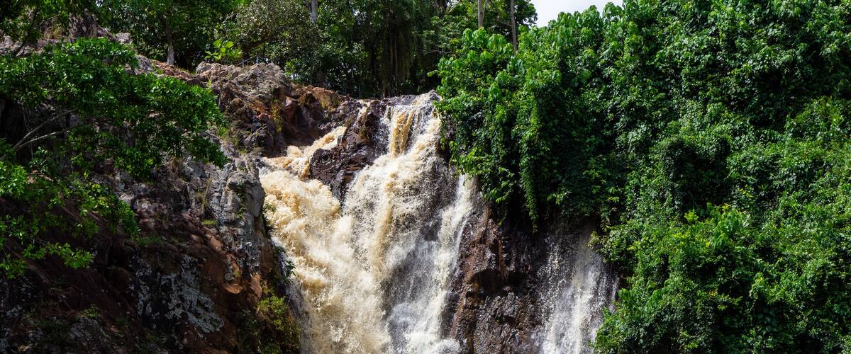 A waterfall cascading down a rocky cliff surrounded by lush greenery.