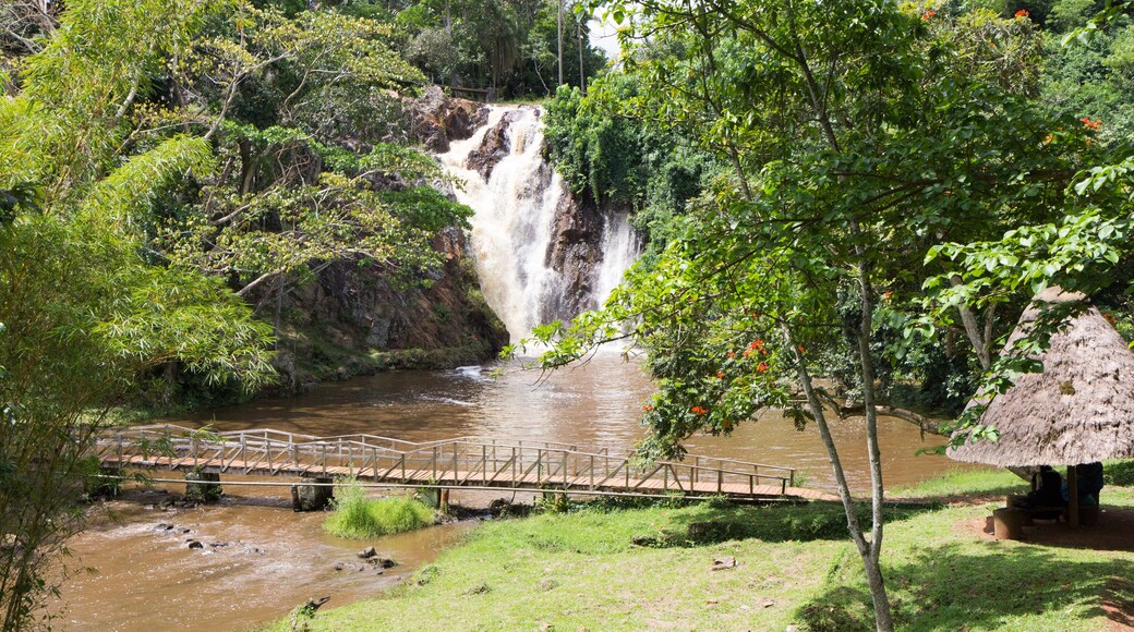 Ssezibwa Falls, Mukono, Uganda. 23 April 2017. A view of the waterfalls and a little pond with a wooden bridge spanning it.