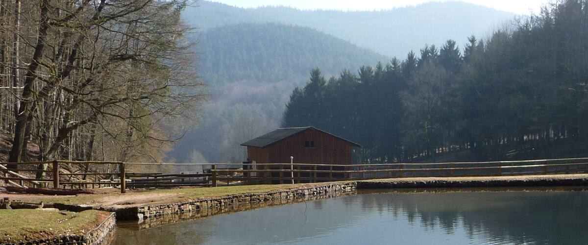 A calm lake with a wooden structure in the background, surrounded by trees and mountains.