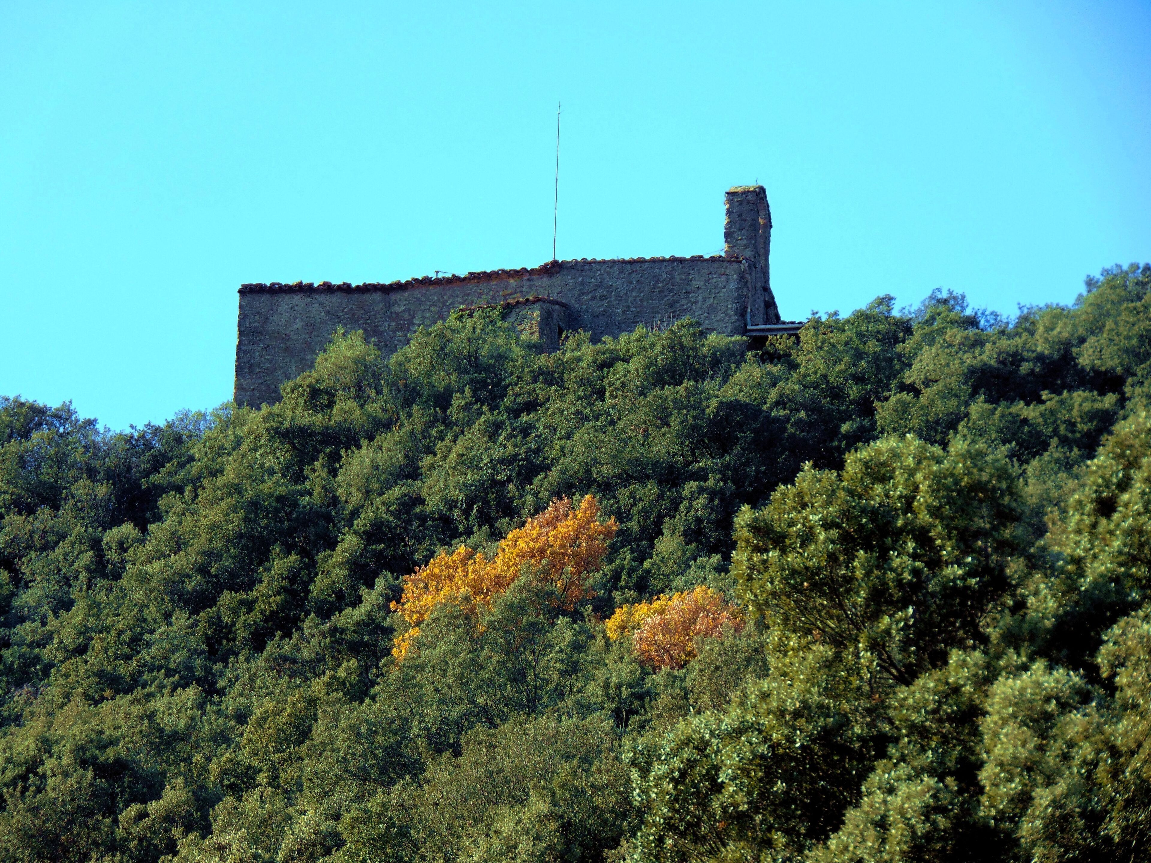 Església de Sant Salvador de Puig-alder (les Planes d'Hostoles) This is a photo of a building indexed in the Catalan heritage register as Bé Cultural d'Interès Local (BCIL) under the reference IPA-10089.