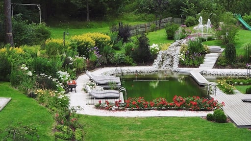 need some relax
#peace #colorful #green