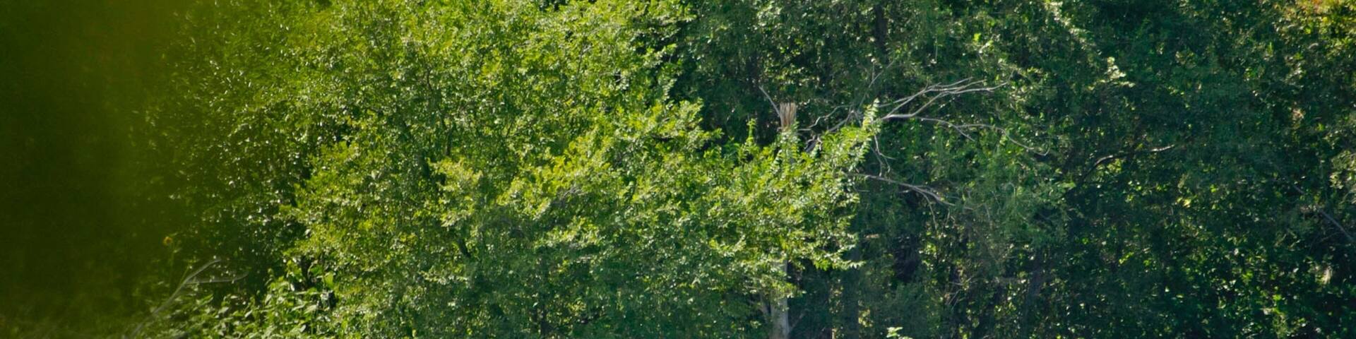 York featuring boating, fishing and a lake or waterhole