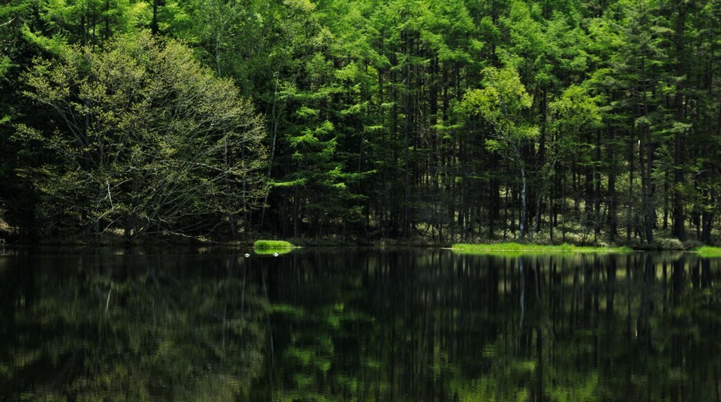 Mishaka Pond located in Chino, Nagano-pref, Japan
Reflection on the pond is quite gorgeous here. The famous Japanese painter, Kaii Higashiyama was inspired to draw a painting from this scenery, as he imagining a unicorn is living in this pond. Beautiful, fantasy-like place. Great spot for photographers.