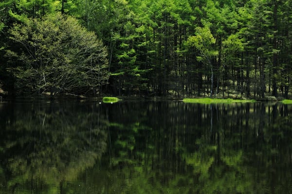 Mishaka Pond located in Chino, Nagano-pref, Japan
Reflection on the pond is quite gorgeous here. The famous Japanese painter, Kaii Higashiyama was inspired to draw a painting from this scenery, as he imagining a unicorn is living in this pond. Beautiful, fantasy-like place. Great spot for photographers.