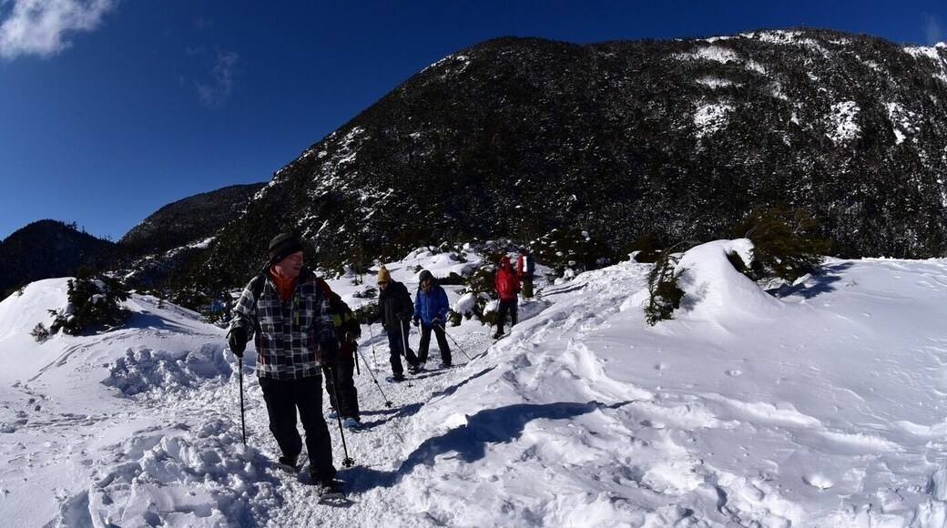 It's not too hard to walk this season with a little snow.