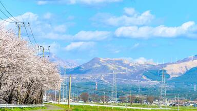 春空と阿蘇山を背景に農業・田園・桜の木風景
Agriculture, countryside, cherry blossom trees against the backdrop of spring sky and Mt. Aso
日本2022年(3月)(春)撮影
Taken in Japan 2022 (March) (Spring)
九州・熊本県(菊陽町)田園
(Kikuyo Town)