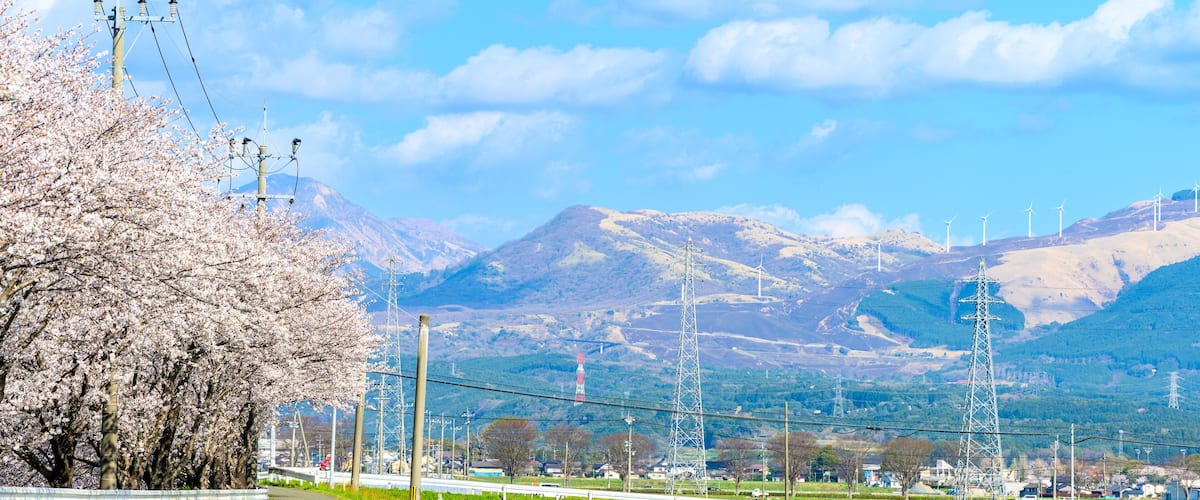春空と阿蘇山を背景に農業・田園・桜の木風景
Agriculture, countryside, cherry blossom trees against the backdrop of spring sky and Mt. Aso
日本2022年(3月)(春)撮影
Taken in Japan 2022 (March) (Spring)
九州・熊本県(菊陽町)田園
(Kikuyo Town)