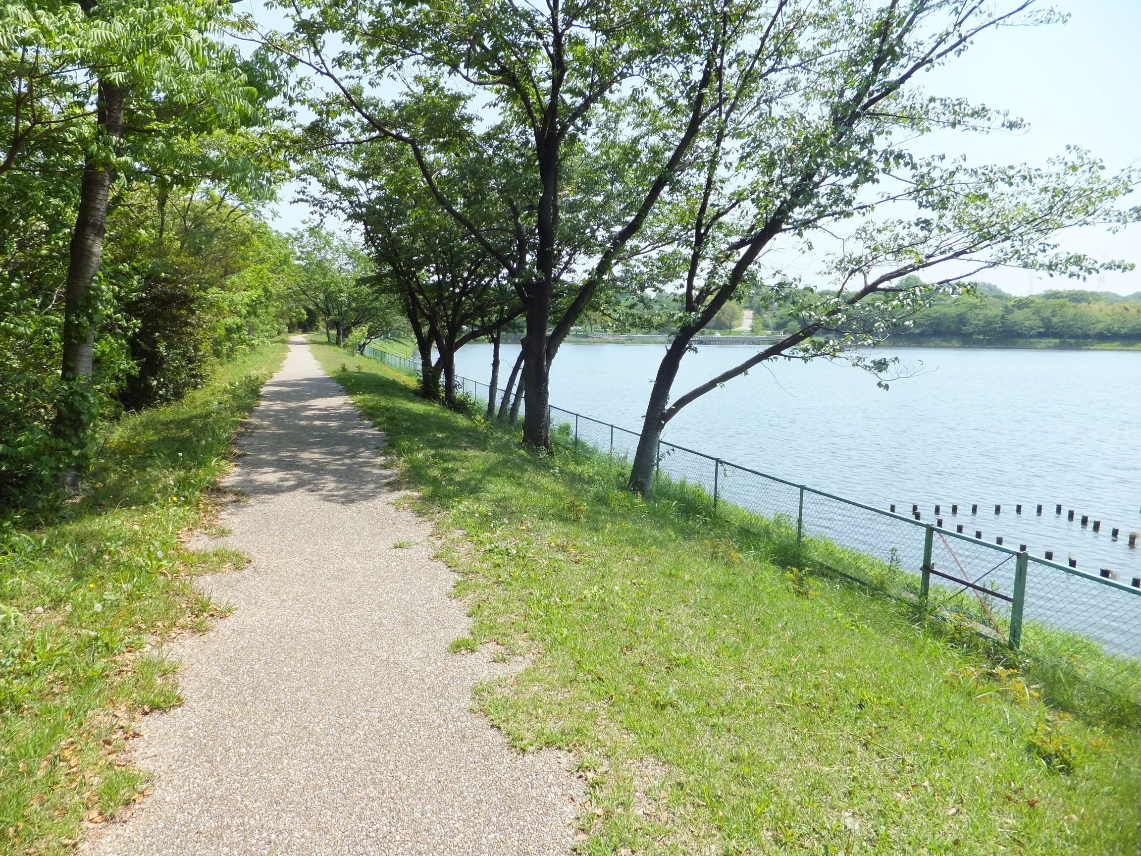 長成池公園／遊歩道