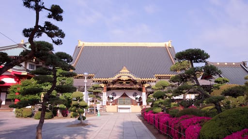 Sano