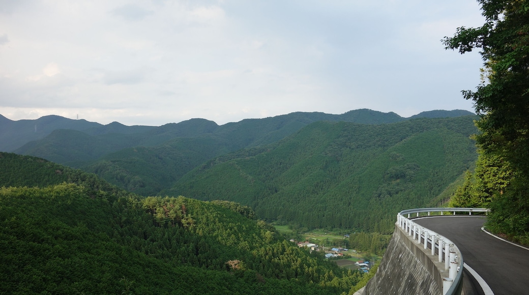 林道牛の沢出原線 20150815