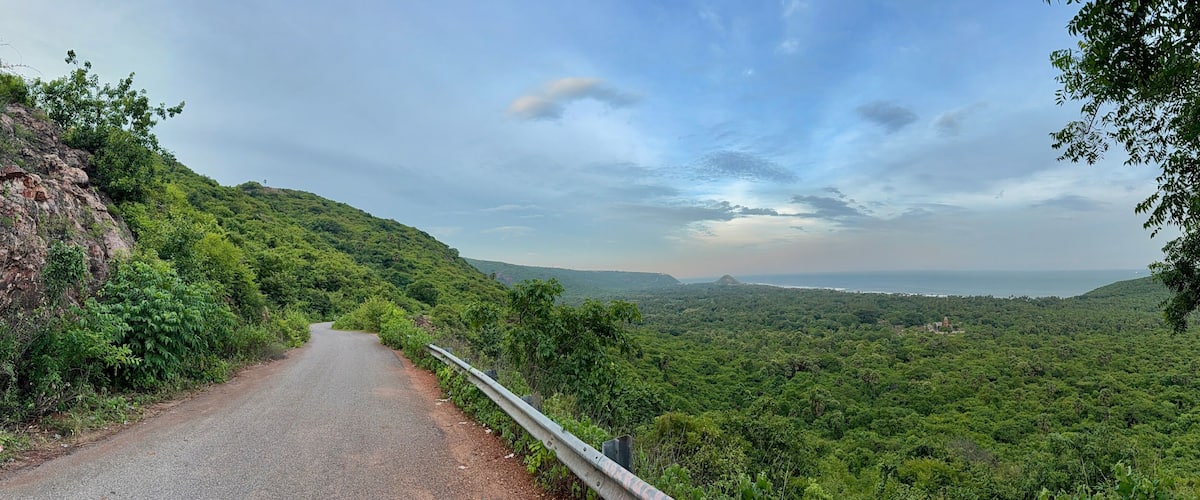 A winding road through a lush green forest with a view of a distant coastline.