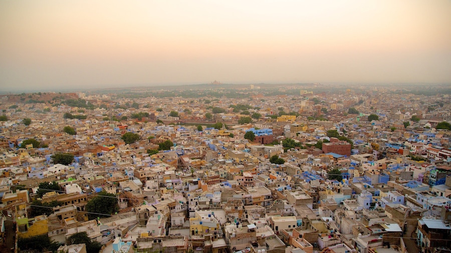 Jodhpur featuring a sunset and a city