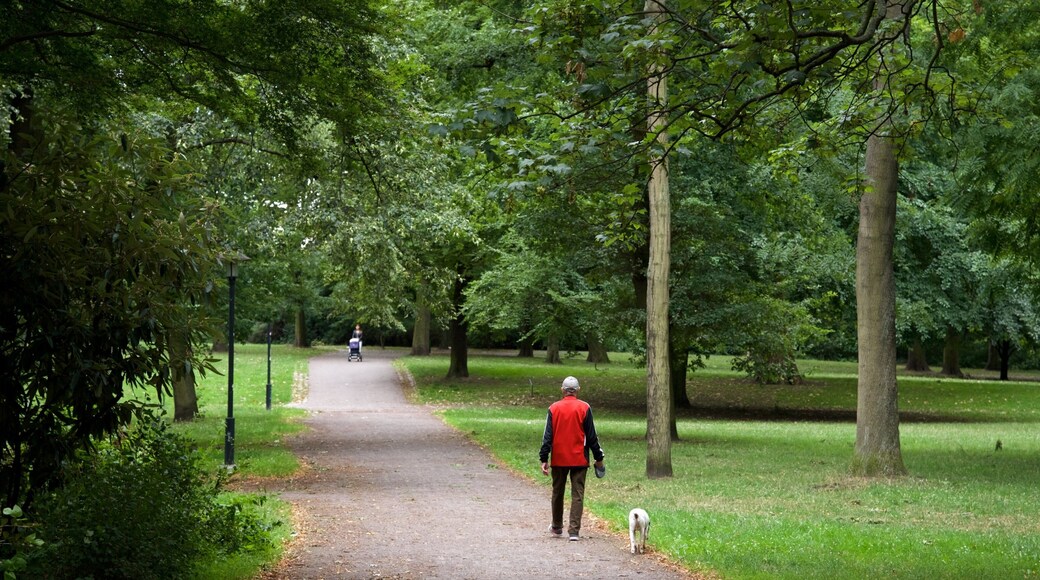 Weissensee which includes hiking or walking and a park