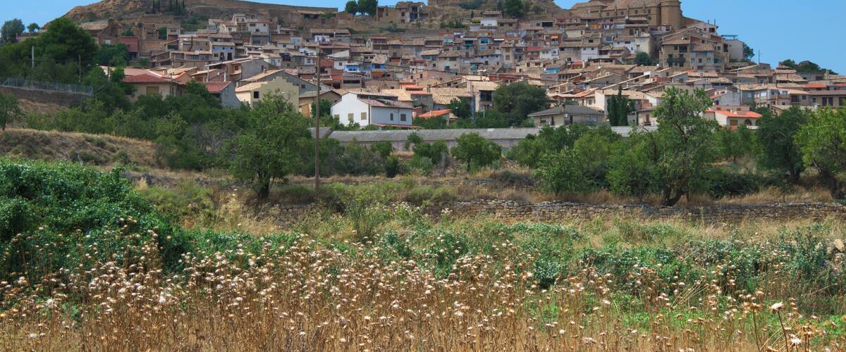 A historic town with a prominent hilltop fortress and a church.