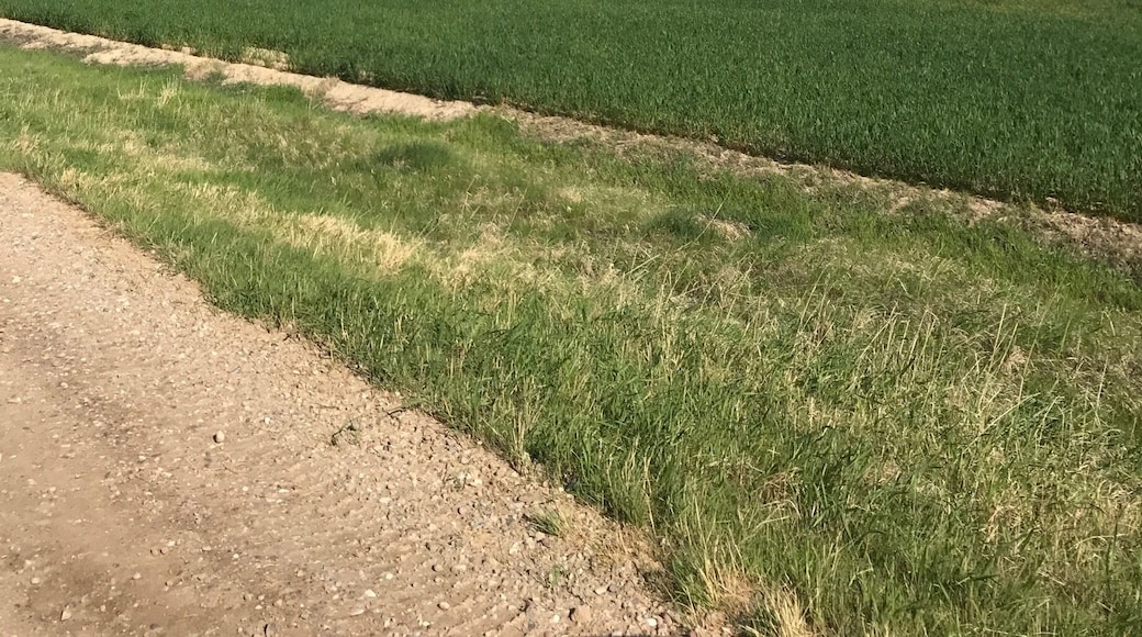 Approaching our hiking destination for today.