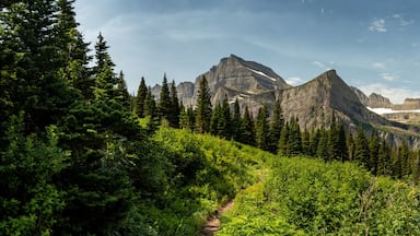 Panorama Looking Back at Grinnell Glacer And Grinnell Lake Area