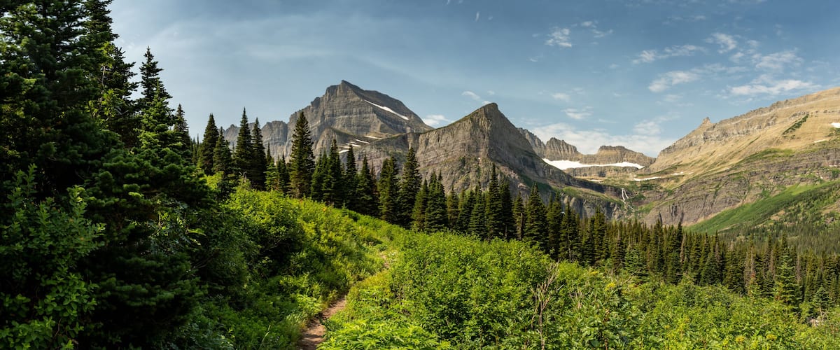 A mountainous landscape with dense forests and a clear sky.