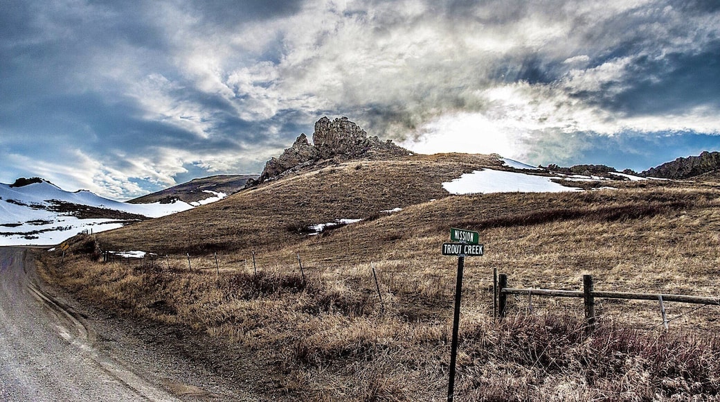 A beautiful road trip through some of Best Mountain View’s!!!