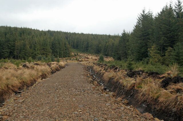 Queen's Sike Track crossing Queen's Sike in Newcastleton Forest.