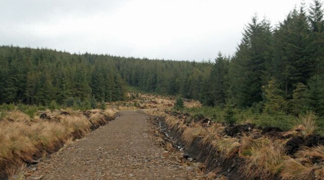 Queen's Sike Track crossing Queen's Sike in Newcastleton Forest.