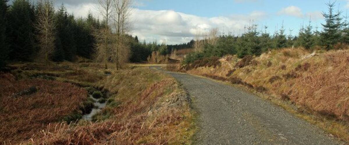 Tweeden Burn Track alongside Tweeden Burn in Newcastleton Forest.