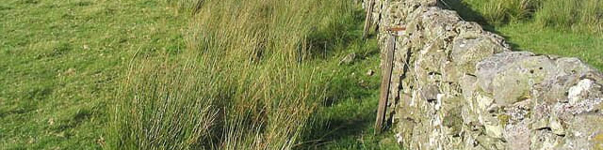 A stone wall in a grassy field with rolling hills in the background.