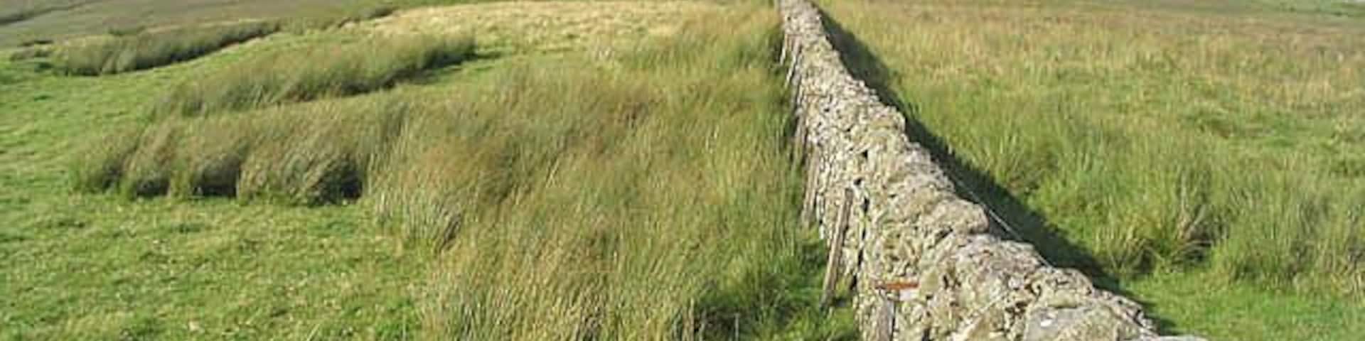 A drystane dyke on Kirk Hill Divides an area of rough grazing for hill sheep and has a single wire electric fence either side.