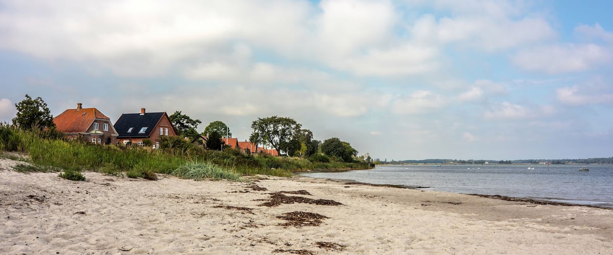 A sandy beach with houses and trees in the background.