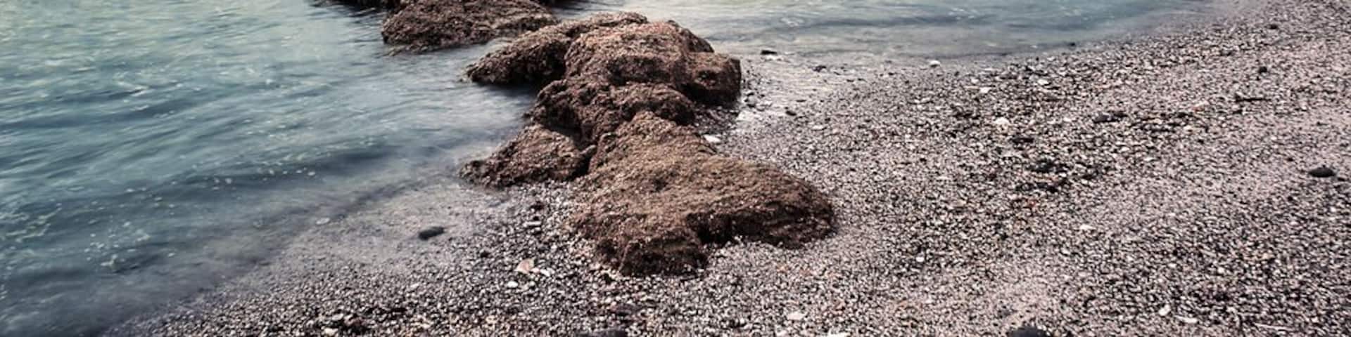 A rocky shoreline with scattered rocks in the water and a distant island.