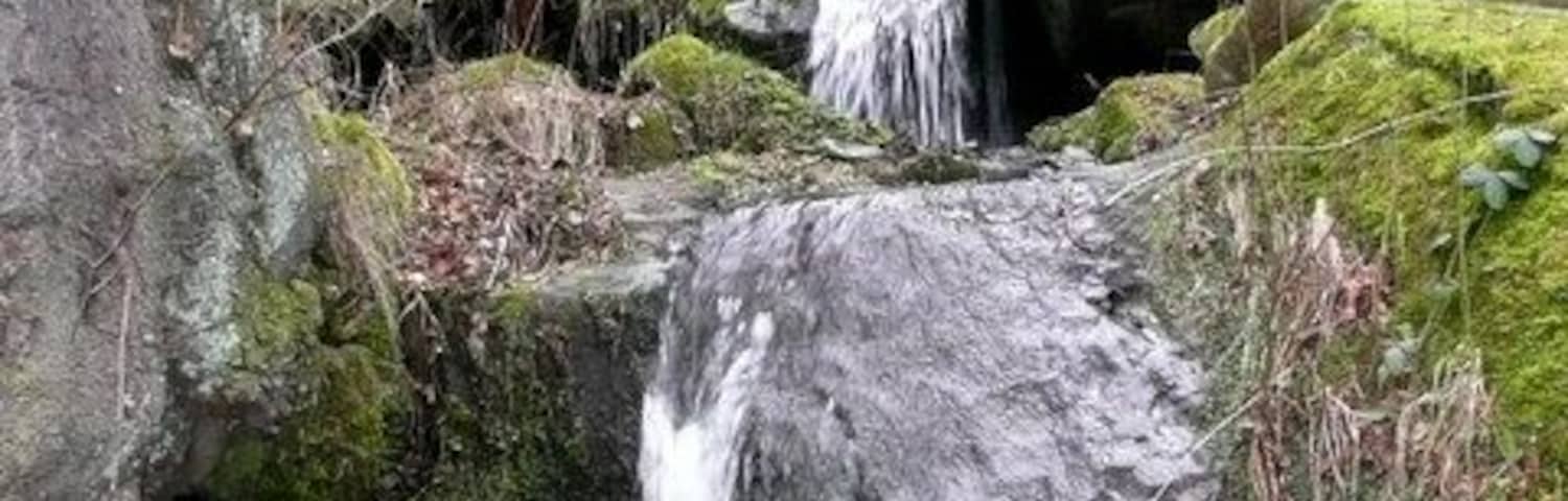 Blick auf den Langenhennersdorfer Wasserfall