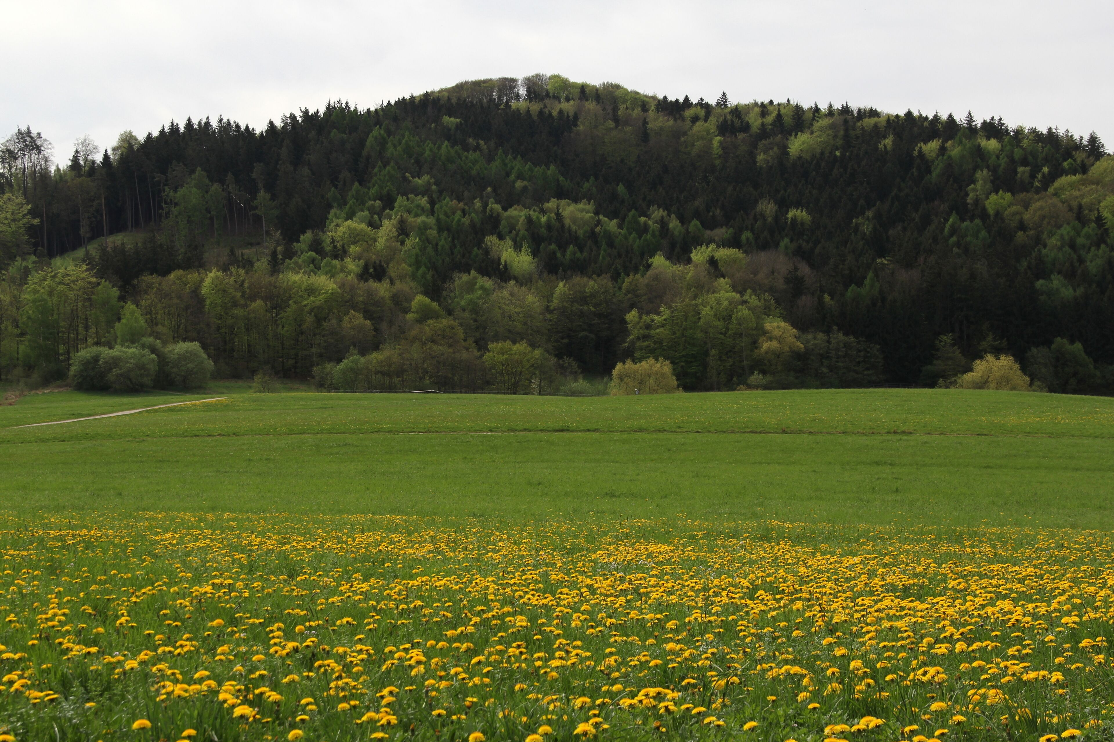 Moritzberg von Norden