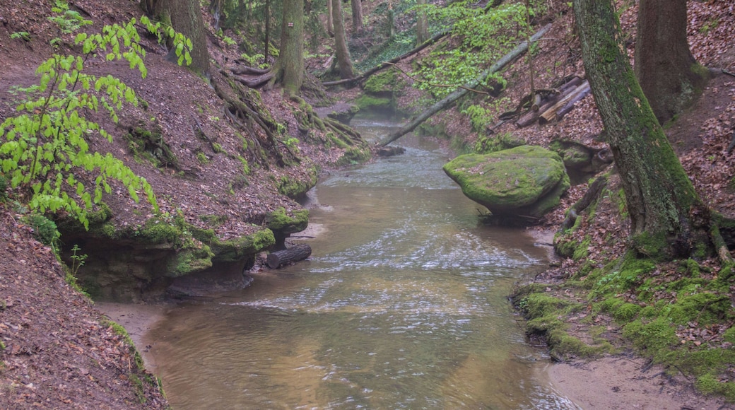 Bitterbachschlucht, Lauf, Nürnberger Land, Geschützter Landschaftsbestandsteil