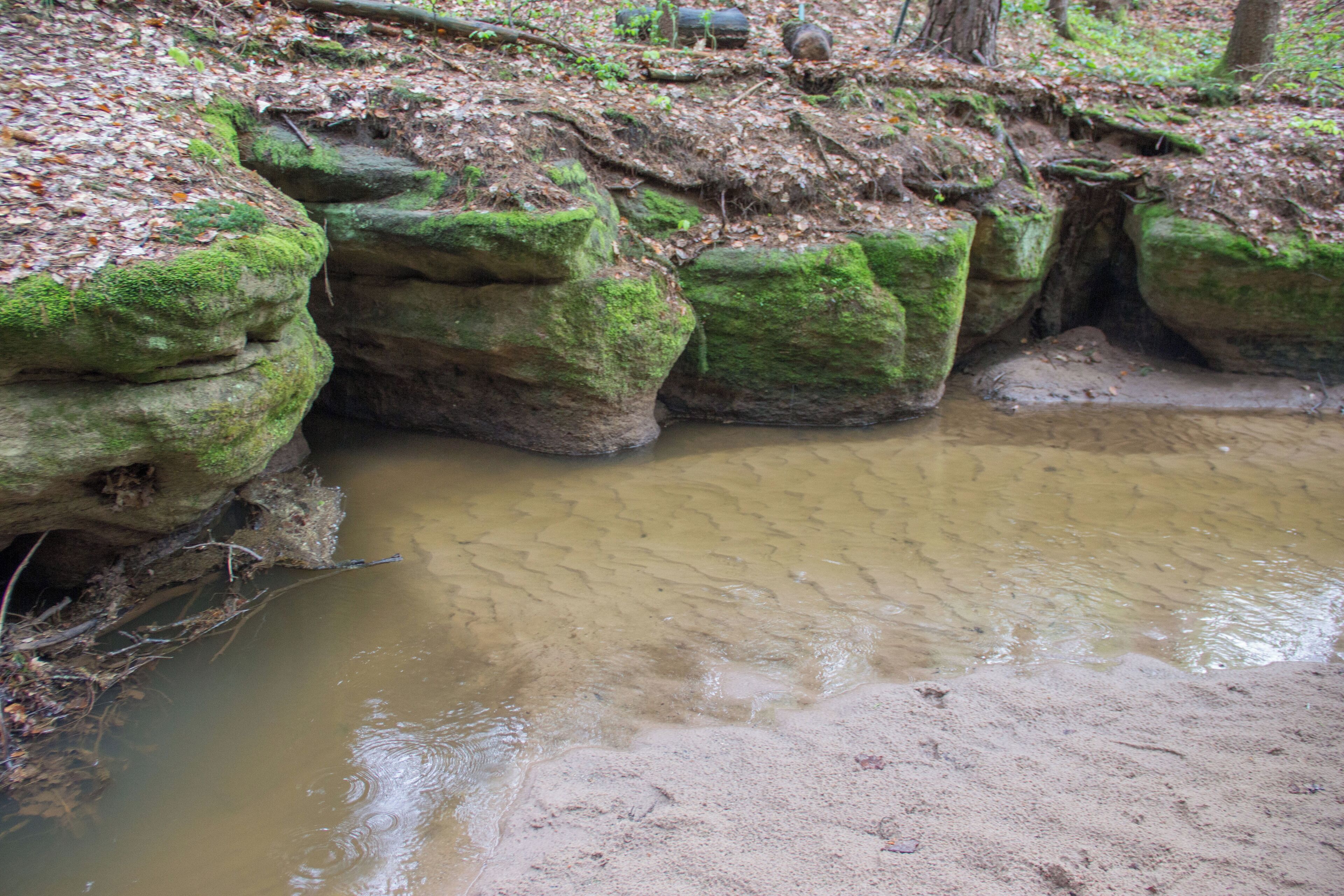 Bitterbachschlucht, Lauf, Nürnberger Land, Geschützter Landschaftsbestandsteil
