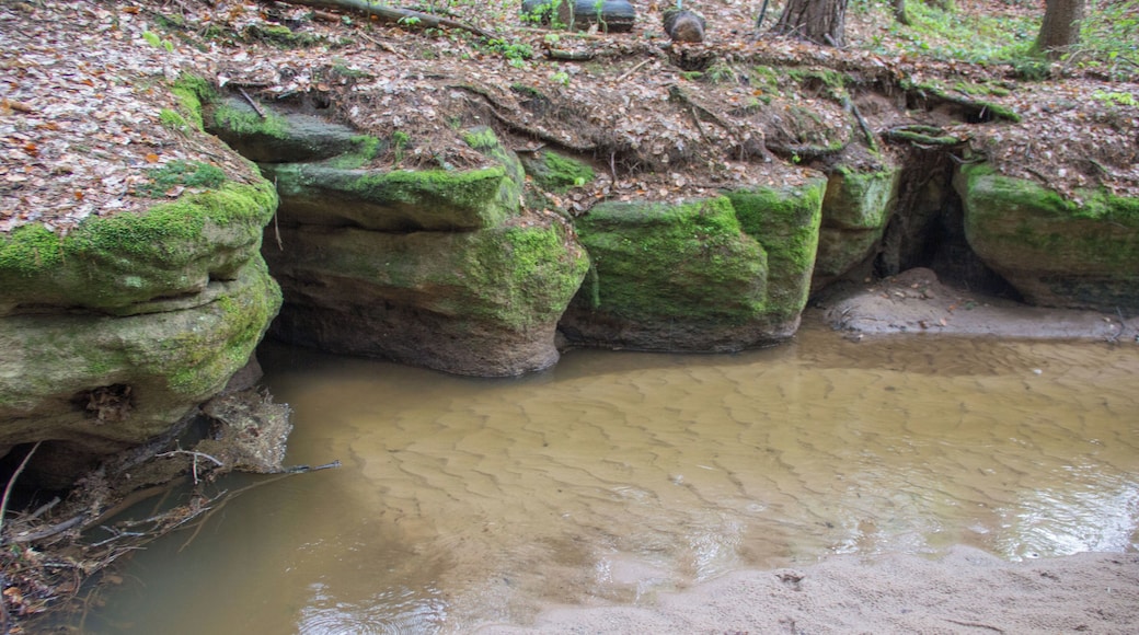 Bitterbachschlucht, Lauf, Nürnberger Land, Geschützter Landschaftsbestandsteil
