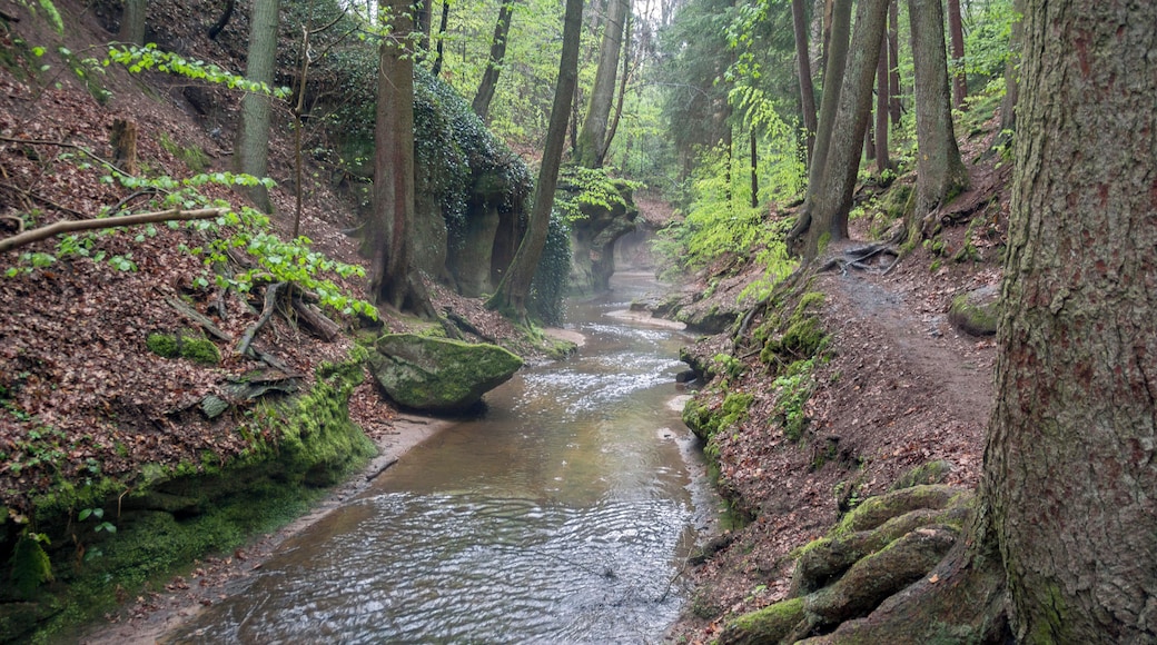 Bitterbachschlucht, Lauf, Nürnberger Land, Geschützter Landschaftsbestandsteil