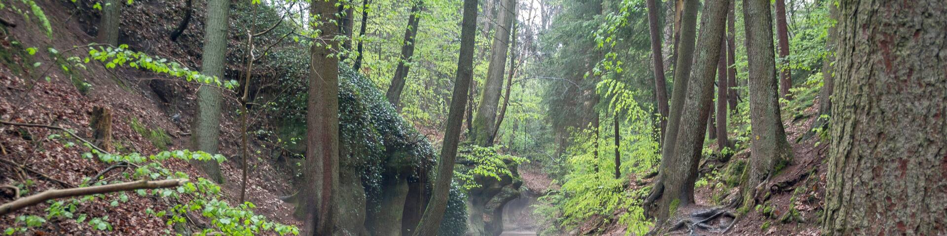 Bitterbachschlucht, Lauf, Nürnberger Land, Geschützter Landschaftsbestandsteil