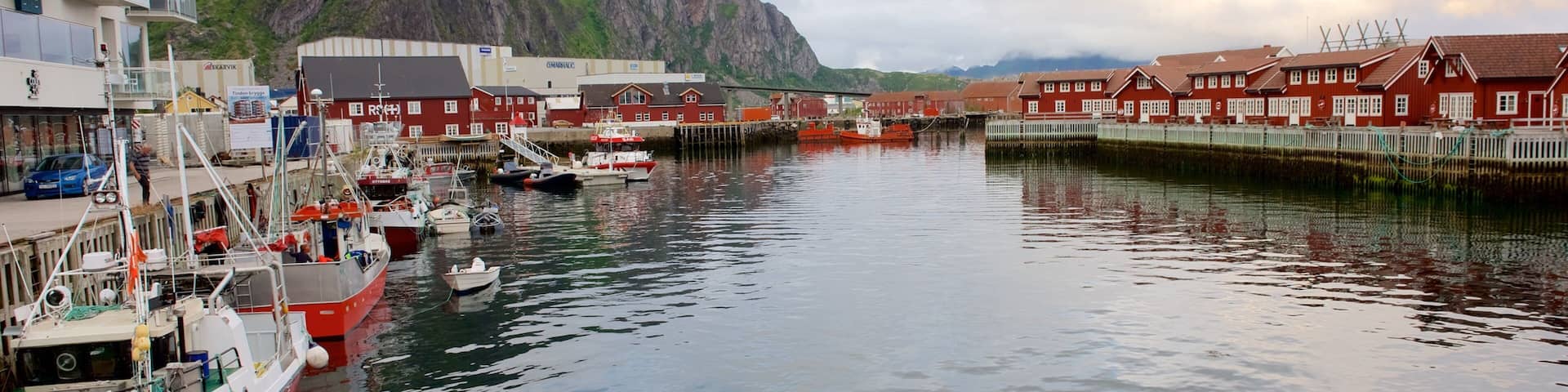A harbor with boats, a mountain, and red buildings.
