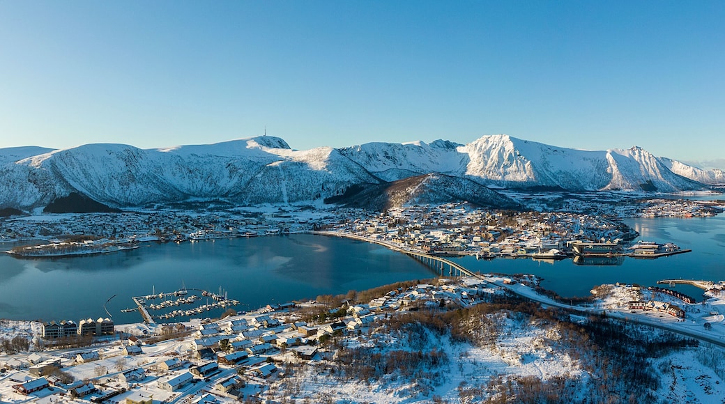 ستوكماركنيز