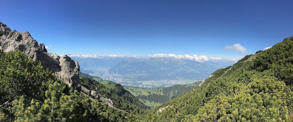 A mountainous landscape with dense pine forests and a distant view of a valley with a river and snow-capped mountains.