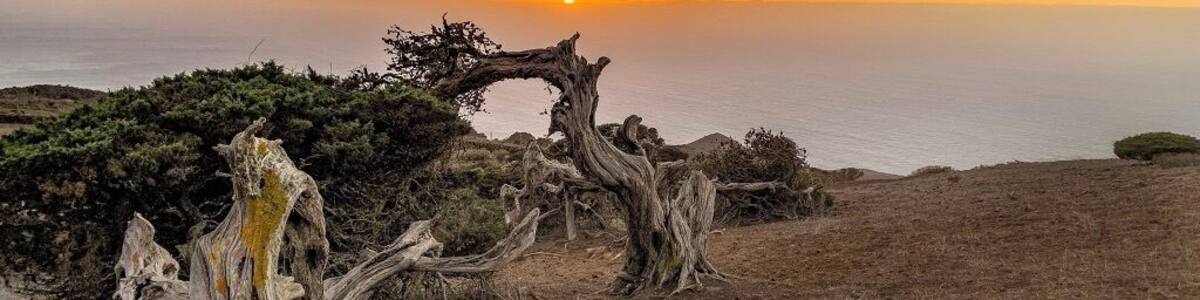 El Sabinar is a grouping of juniper trees that have been shaped by the trade winds. The promontory on which they sit overlooks the ocean and makes a beautiful backdrop for some stunning photographs.