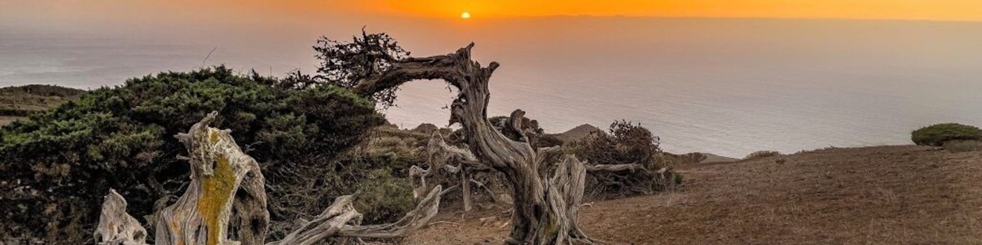 El Sabinar is a grouping of juniper trees that have been shaped by the trade winds. The promontory on which they sit overlooks the ocean and makes a beautiful backdrop for some stunning photographs.