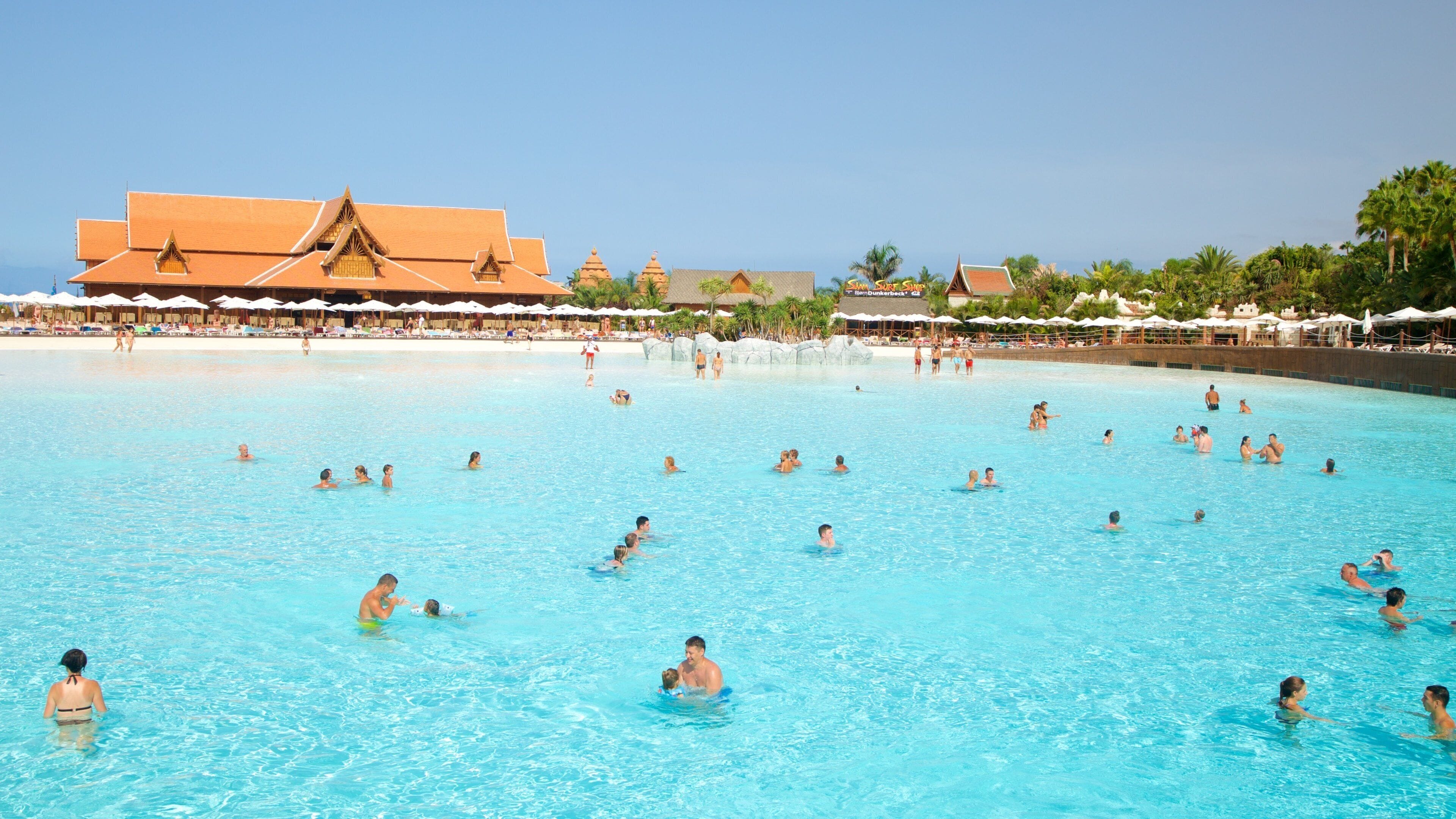 Siam Park which includes a waterpark and swimming as well as a large group of people