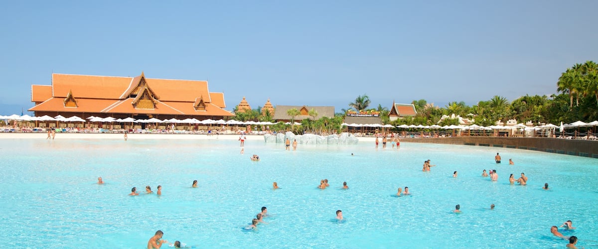 Siam Park which includes a waterpark and swimming as well as a large group of people
